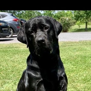 Meet your Posher, Vanda